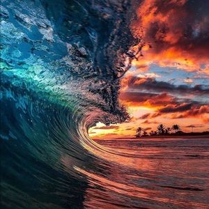 Meet your Posher, Daryl